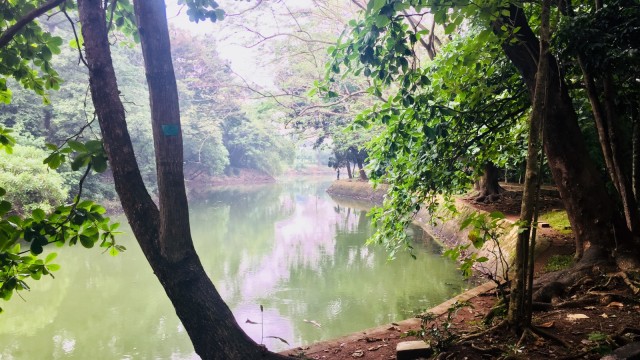 Danau Hutan Kota Srengseng. (Foto: Shika Arimasen Michi/kumparan)