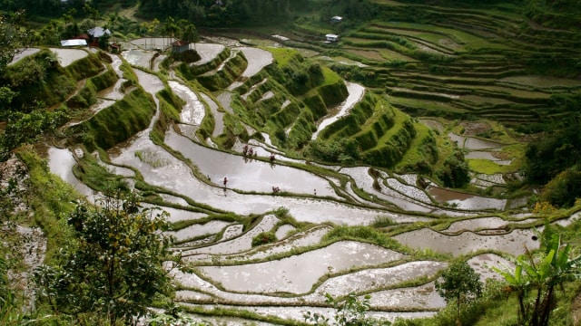 Banaue Rice Terraces di Filipina (Foto: Flickr / Andrea Piasentin)