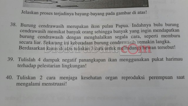 Dewan Pendidikan Sesalkan Munculnya Soal Ujian Sd Yang Dinilai Tidak Sopan Kumparan Com