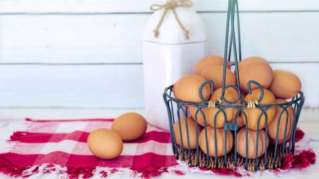 Batasi Pemberian Telur Pada Anak, Kenapa?