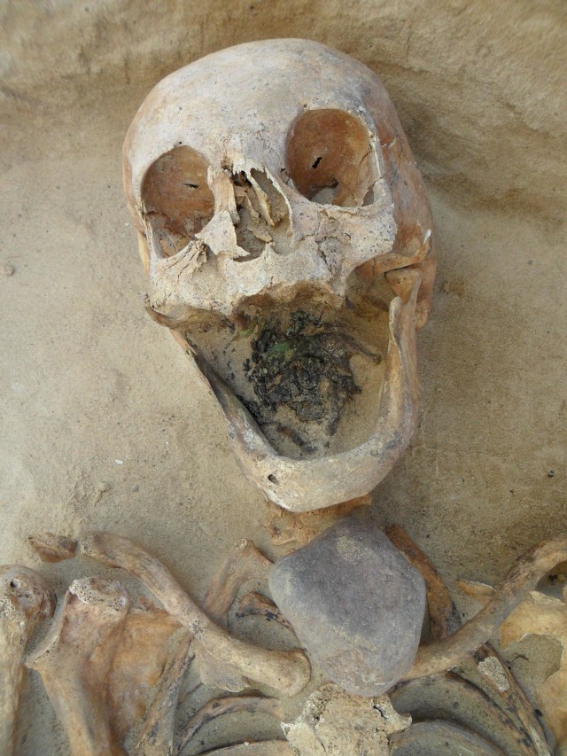 Mayat 'Vampir' Ditindih Batu (Foto: Gregoricka et al. PLOS ONE, 2014)