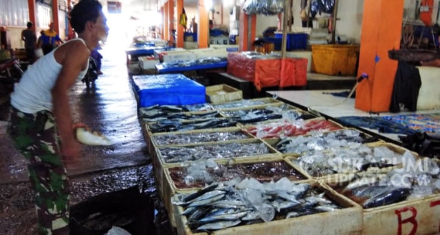Menjelang Ramadhan, Harga Ikan di TPI Palabuhanratu Turun