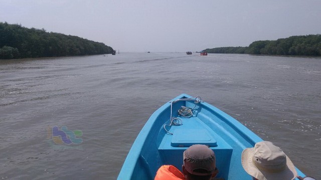 Muara Sungai Bengawan Solo Nan Eksotik Kumparan Com