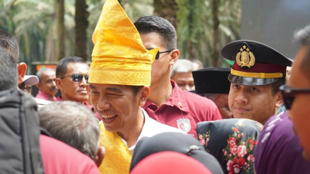 Presiden Jokowi tiba di acara peremajaan sawit. (Foto: Aprilandika Pratama/kumparan)