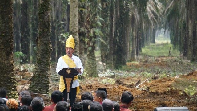 Jokowi di launching peremajaan kebun kelapa sawit. (Foto: Aprilandika Pratama/kumparan)