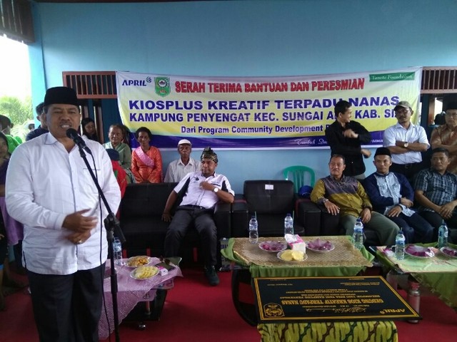 PT RAPP Bangun Kiosplus Kreatif Nanas, Ternyata Budidaya Nenas Bisa Lebih Menguntungkan