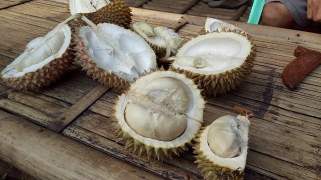Suasana menikmati durian di Songgon (Foto: Achmad Rafiq/kumparan)