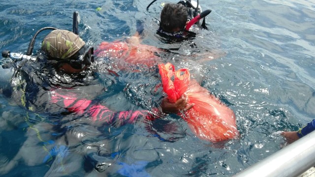 Dalam sepekan, tiga kali upaya penyelundupan Benih Lobster berhasil digagalkan (2)