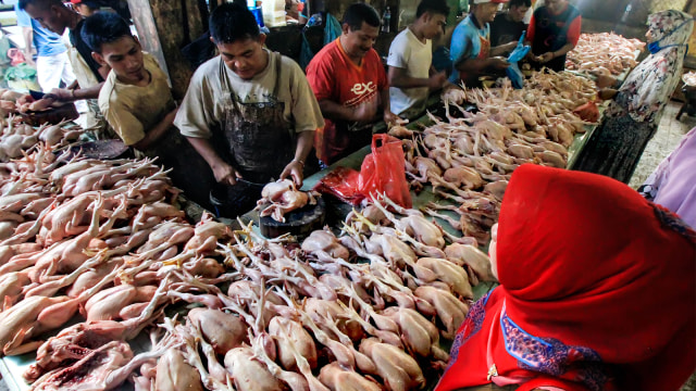 Pedagang melayani pembeli daging ayam potong. (Foto:  ANTARA FOTO/Rahmad)