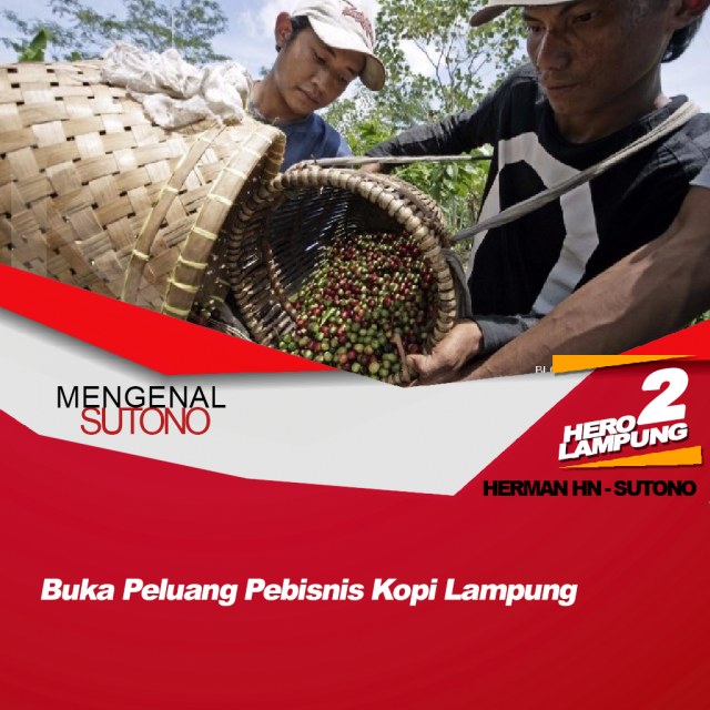Sutono : "Program Usaha Peluang Bisnis Kopi Di Lampung"