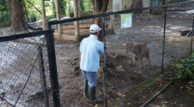 Kebun Binatang Bandung dan Solo Kerja Sama Pertukaran Satwa