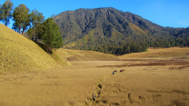 Oro-Oro Ombo, Gunung Semeru (Foto: Flickr / Rahmat)