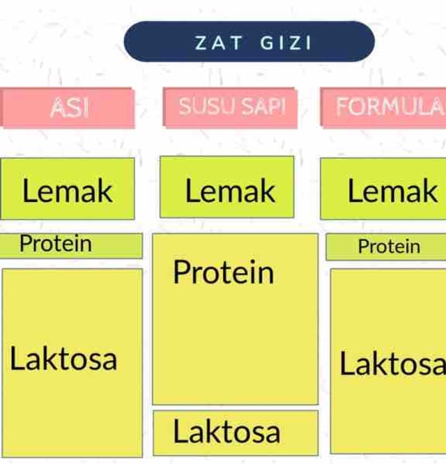 Apakah Anak Usia Diatas 2 Tahun Wajib Diberikan Susu Tambahan? (290703)