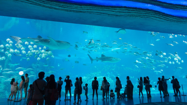 Chimelong Ocean Kingdom, China. (Foto: Flickr/osamu aw)