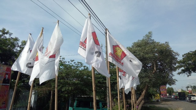 Curi Start Kampanye, Baliho Parpol Bertebaran di Probolinggo (1)