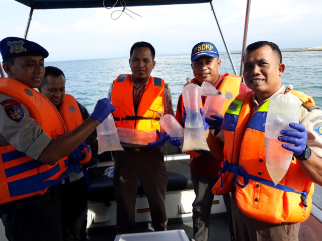 BKIPMSurabaya 1 kembali lepasliarkan Benih Lobster ke-15 kalinya sejak Januari-Maret 2018