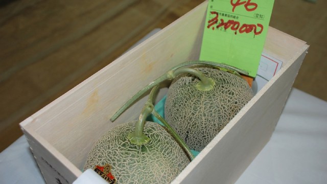 Melon Rp 400 juta di Jepang (Foto: ÁFP/JIJI PRESS )