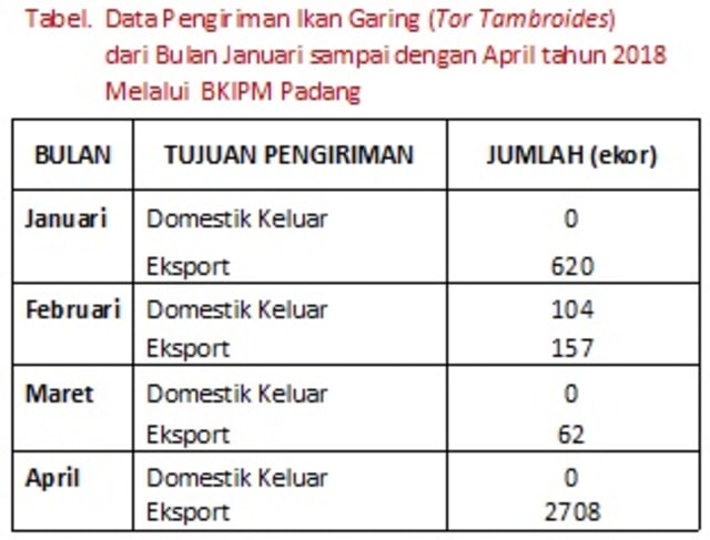 Lalulintas Ikan Garing di Propinsi Sumatera Barat. (3)
