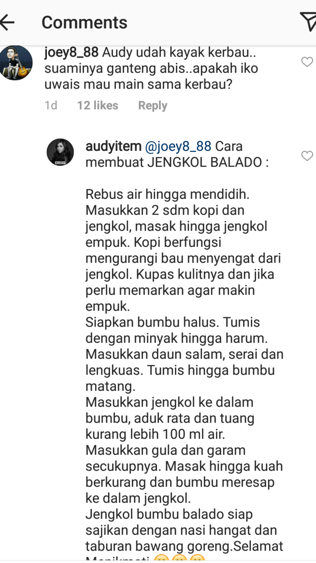Balasan Audy saat dibully Netizen (Foto: Instagram @audyitem)