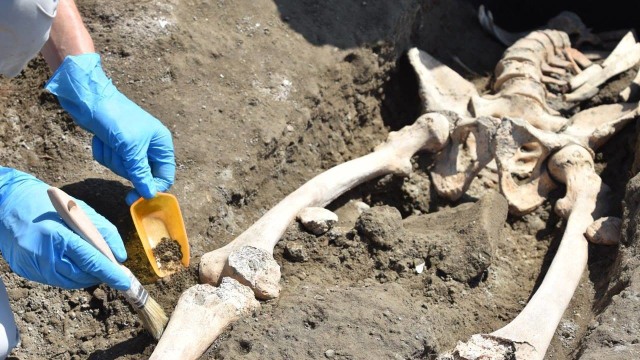 Tulang Belulang Manusia Tersial di Pompeii (Foto: Parco Acheologico)