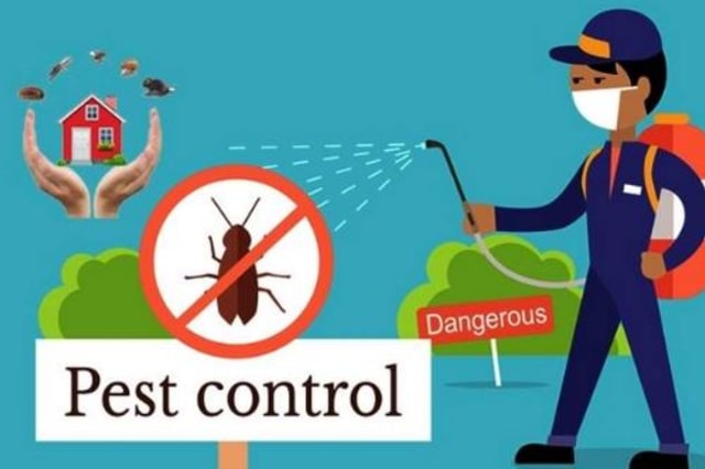 Memilih Penyedia Pest Control Singapura (1)