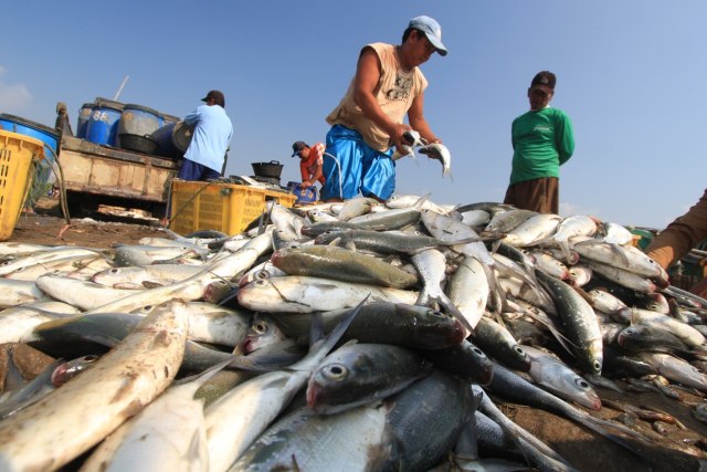 Tangkapan Ikan Nelayan Pasuruan Meningkat pada Triwulan Pertama 2018