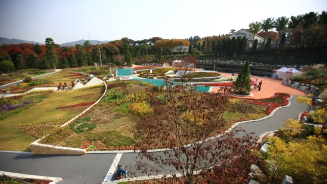 Bear Tree Park (Foto: VisitKorea)