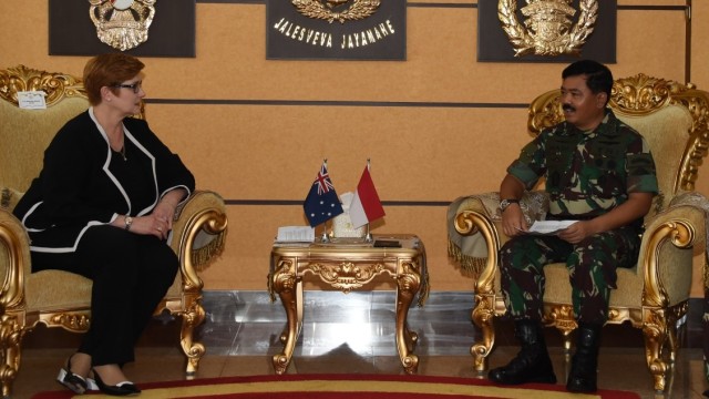 Panglima TNI menerima kunjungan Menhan Australia (Foto: Dok. Puspen TNI)