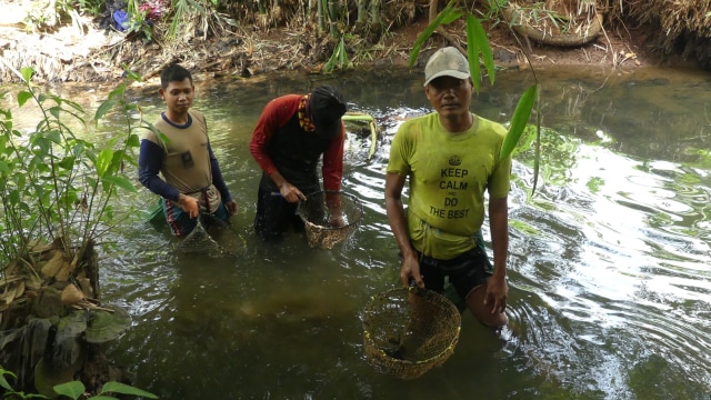 Petani Tutut di Bogor (Foto: Marissa Krestianti/kumparan)