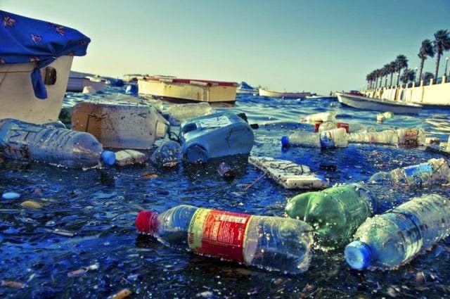 BRORIVAI CENTER : Laut Harus Bebas Sampah Plastik (1)