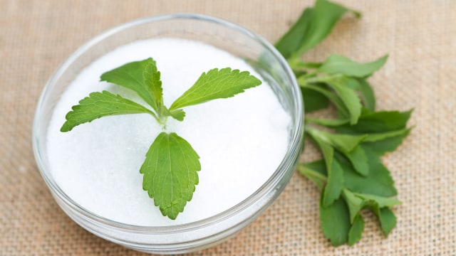 Ilustrasi daun stevia. (Foto: Thinkstock)