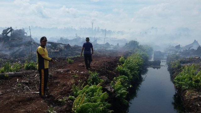 Kebakaran di wilayah kabupaten Aceh Selatan (Foto: Zuhri Noviandi/kumparan)
