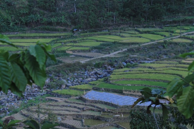 Unduh 6800 Koleksi Background Alam Terbuka HD Terbaru