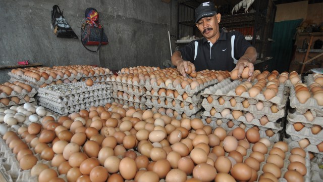 Pedagang menata telur ayam (Foto: ANTARA FOTO/Mohamad Hamzah)