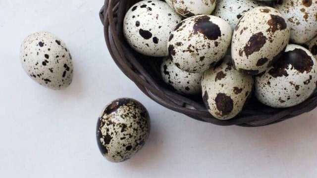 7 Manfaat Telur Puyuh untuk Ibu Hamil