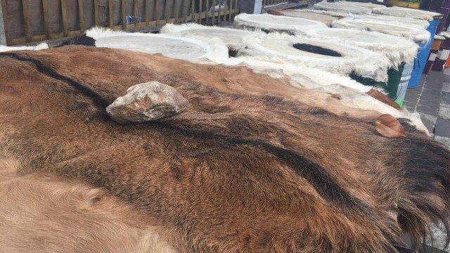 Kulit kambing untuk bedug di Pasar Tanah Abang (Foto: Ema Fitriyani/kumparan)