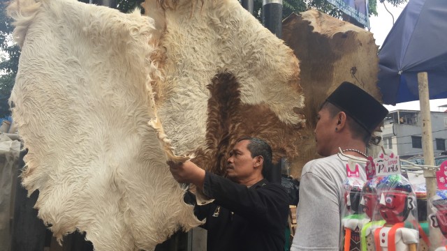 Kulit kambing untuk bedug di Pasar Tanah Abang (Foto: Ema Fitriyani/kumparan)