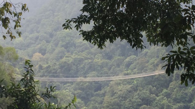 Ilustrasi: Jembatan gantung di TN Gunung Gede Pangrango. Foto: Muhammad Lutfan Darmawan/kumparan