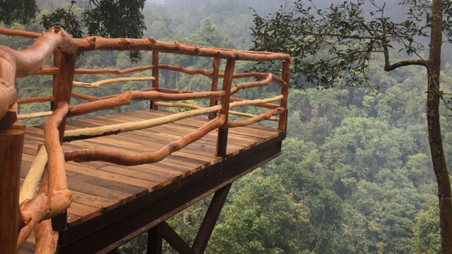 Jembatan gantung di TN Gunung Gede Pangrango. (Foto: Muhammad Lutfan Darmawan/kumparan)