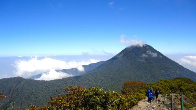 Mendaki Gunung Pangrango. (Foto: Flickr/Kurniawan Gunadi)