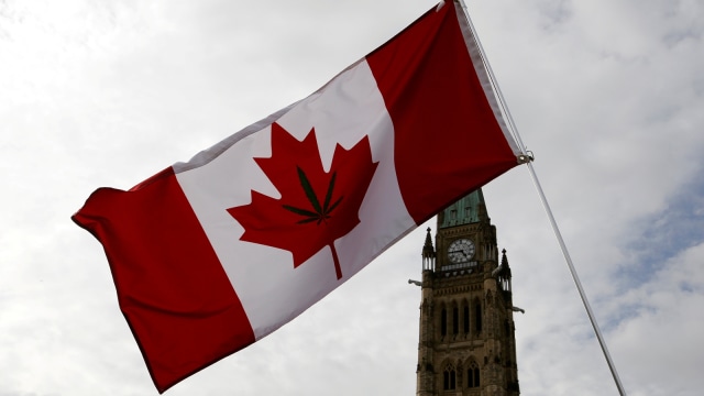 Kanada legalisasi ganja. (Foto: REUTERS/Chris Wattie)