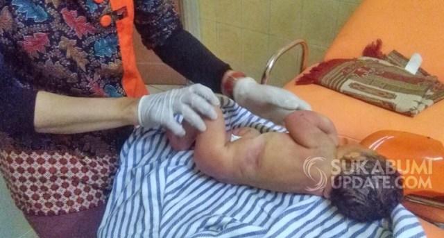 Bayi Perempuan Ditemukan di Kebun di Desa Munjul Sukabumi