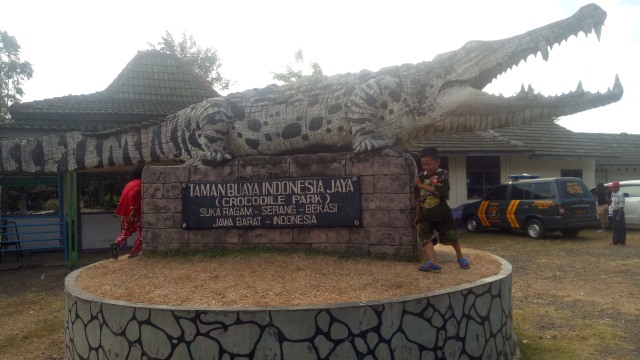 Suasana Taman Buaya Indonesia Jaya di Cibarusah (Foto:  Ainul Qalbi/kumparan)