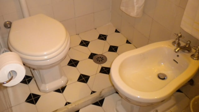 Bidet Toilet (Foto: Flickr/Mad Maple)