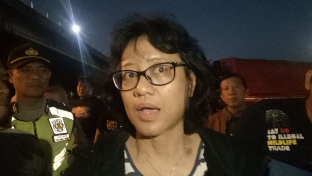 Resmi, Sirkus Lumba-lumba Keliling Dilarang per 6 Februari 2020 (537605)