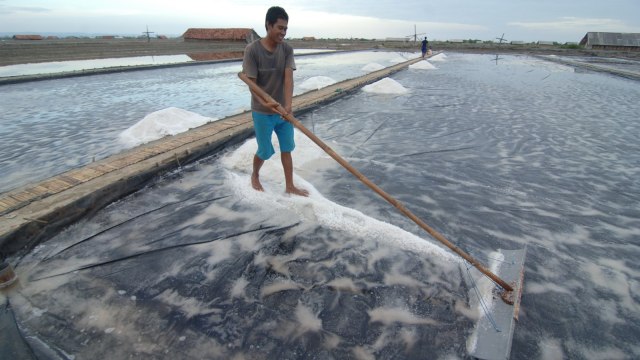 Selain memproduksi garam sendiri, PT Garam (Persero) juga membeli garam olahan petani. Foto: ANTARA FOTO/Saiful Bahri