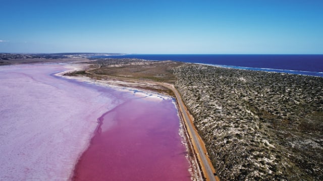 Pink Lake (Foto: Tourism Western Australia)
