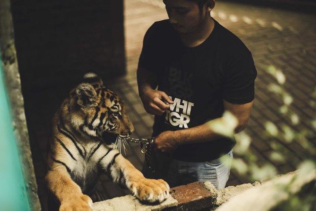 7 Fakta Alshad Kautsar Sepupu Raffi Ahmad yang Sempat Curi Perhatian (5)
