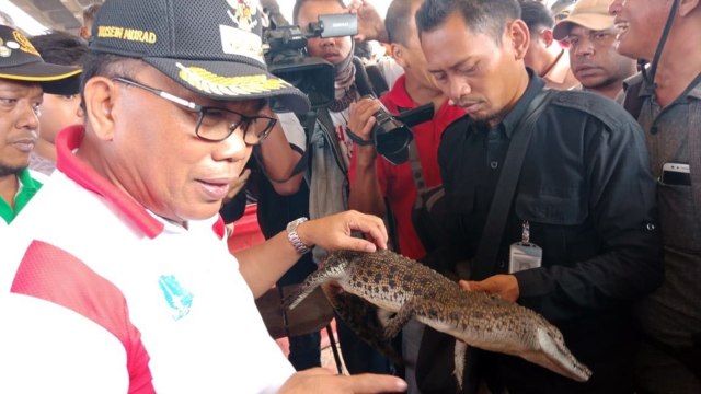 Buaya ditangkap di Jakarta Utara. (Foto: dok. Infokomtik Jakarta Utara)