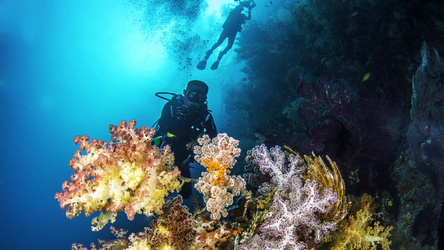 Kabarnya, 75 persen spesies ikan di dunia dan karang bisa ditemukan di sini. Pantas saja, Raja Ampat, begitu dicintai penyelam dunia.  (Foto: dok : Flickr / Michael Rubenstein)